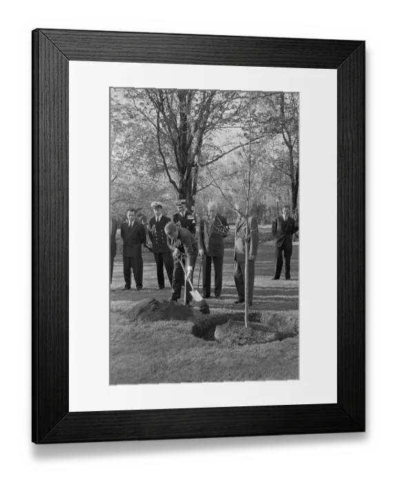 Framed Print : President Kennedy Planting a Tree Framed Print : President Kennedy Planting a Tree