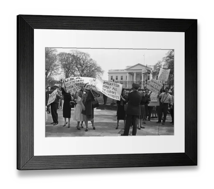 Framed Print : Anti-Castro Demonstrators Picketing Framed Print : Anti-Castro Demonstrators Picketing