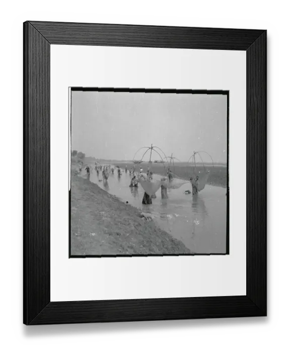 Framed Print : Fisherman Using Umbrella Framed Nets Framed Print : Fisherman Using Umbrella Framed Nets