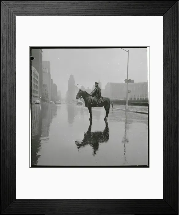 Framed Print : Mounted Police Patrolling U.N. Plaza Framed Print : Mounted Police Patrolling U.N. Plaza