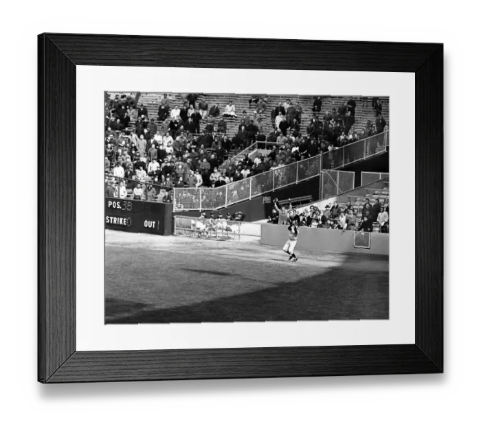 Framed Print : A Helping Hand Framed Print : A Helping Hand