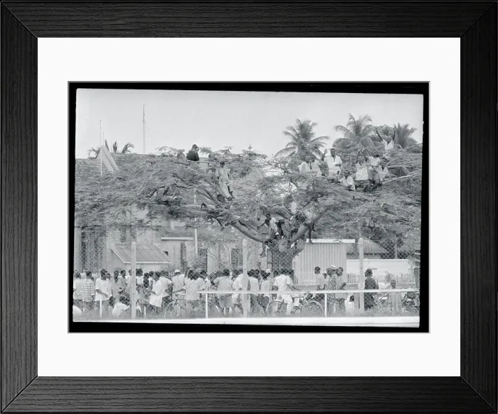 Framed Print : Children Standing in Tree Framed Print : Children Standing in Tree