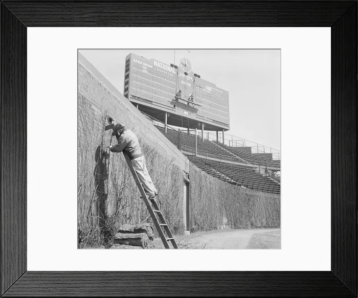 Framed Print : Man on Ladder Working on Wrigley Stadium