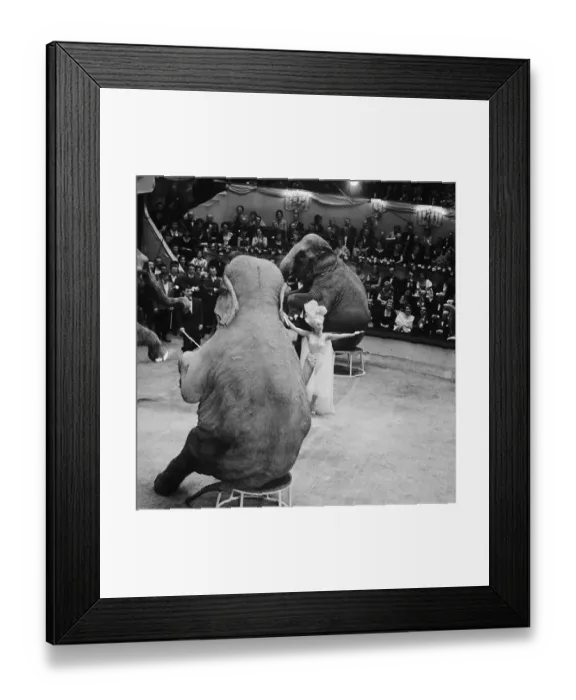 Framed Print : Josephine Baker Taming Elephants Framed Print : Josephine Baker Taming Elephants