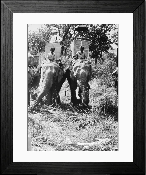Framed Print : Queen Elizabeth Hunting Framed Print : Queen Elizabeth Hunting