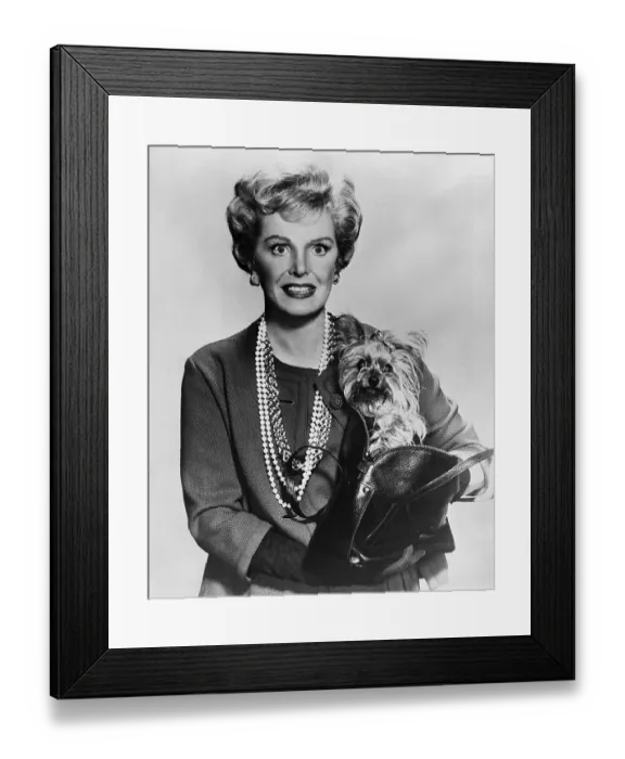 Framed Print : It's In the Bag