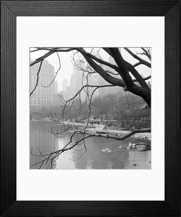 Framed Print : A Great Weather Day Framed Print : A Great Weather Day
