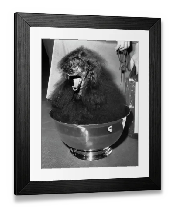 Framed Print : Yawning Little Sister Framed Print : Yawning Little Sister