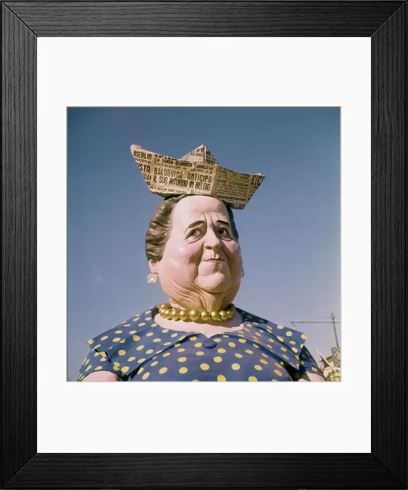 Framed Print : Carnival Float Framed Print : Carnival Float