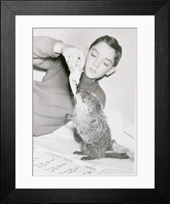 Framed Print : Boy Feeding a Groundhog Framed Print : Boy Feeding a Groundhog