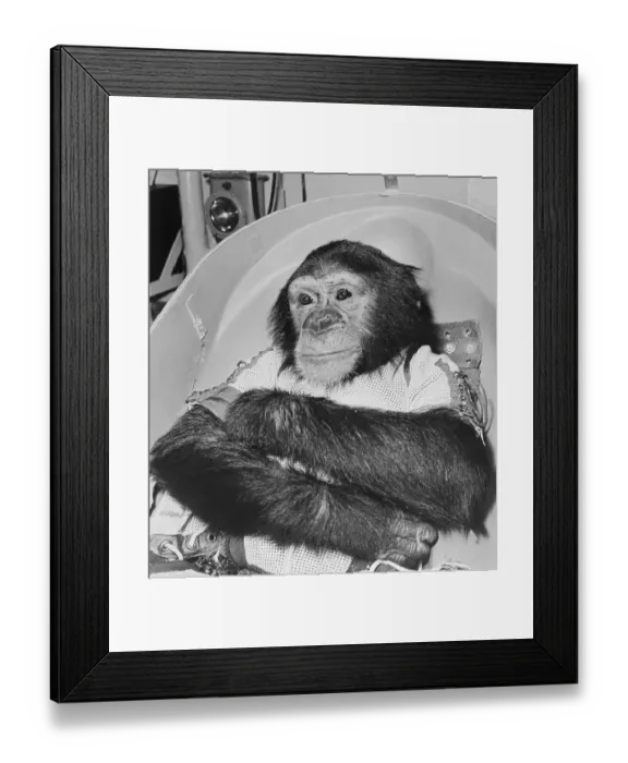 Framed Print : Space Travelling Monkey in Capsule Framed Print : Space Travelling Monkey in Capsule