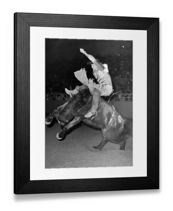 Framed Print : Jim Shoulders Riding a Bucking Horse Framed Print : Jim Shoulders Riding a Bucking Horse