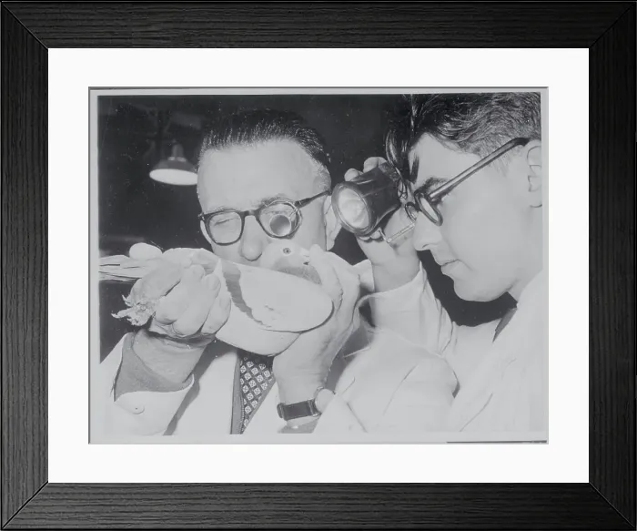 Framed Print : Jack Humphrey and Assistant Framed Print : Jack Humphrey and Assistant