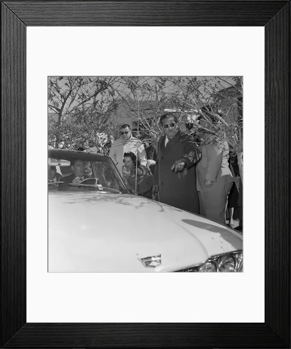 Framed Print : Mother Yells at Sydney Goldfinch Framed Print : Mother Yells at Sydney Goldfinch