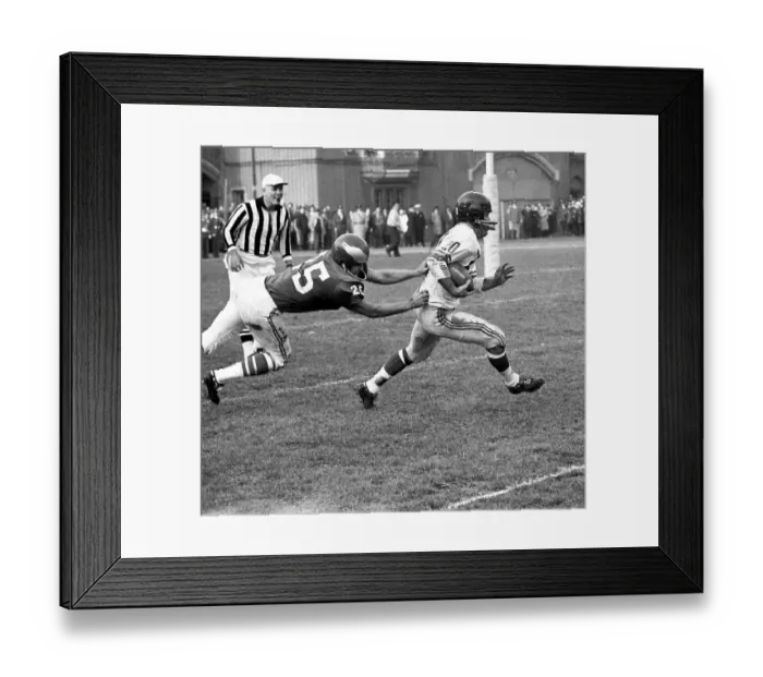 Framed Print : Tommy McDonald Framed Print : Tommy McDonald