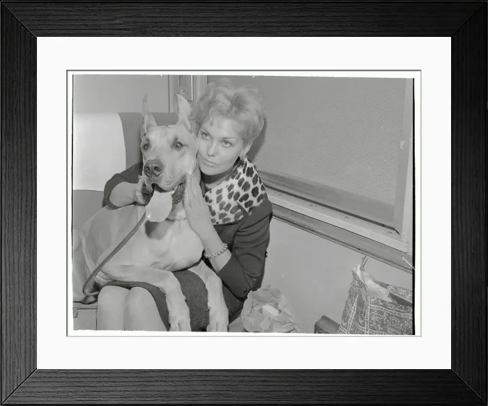 Framed Print : Portrait of Kim Novak and her Dog Framed Print : Portrait of Kim Novak and her Dog