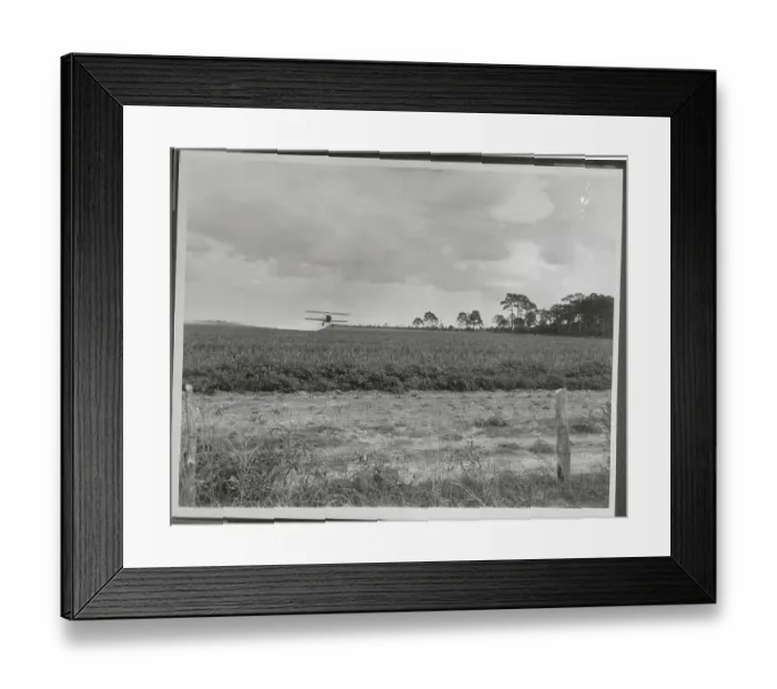 Framed Print : Airplane Spraying Crops Framed Print : Airplane Spraying Crops