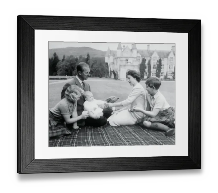 Framed Print : Royal Picnic Framed Print : Royal Picnic