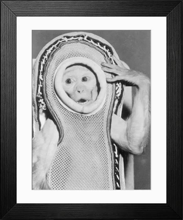 Framed Print : Miss Sam Wearing Space Gear Framed Print : Miss Sam Wearing Space Gear