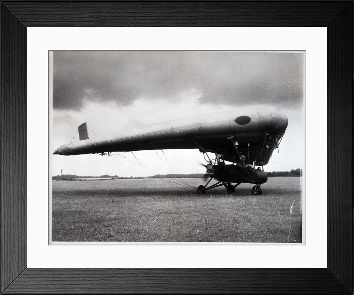 Framed Print : Inflatable Winged Airplane