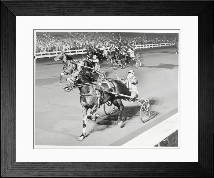 Framed Print : Horse Countess Adies Winning Race Framed Print : Horse Countess Adies Winning Race