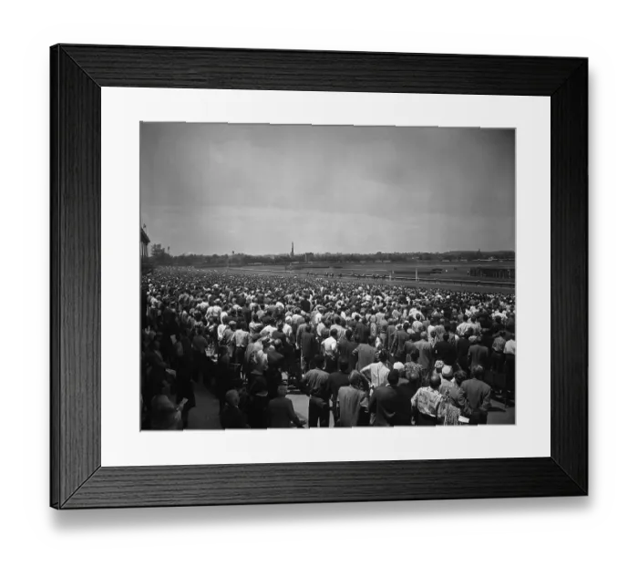 Framed Print : Horse Race At Belmont Park, New York Framed Print : Horse Race At Belmont Park, New York