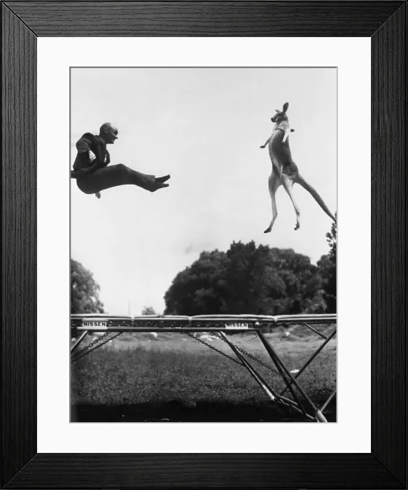 Framed Print : Springaroo Framed Print : Springaroo