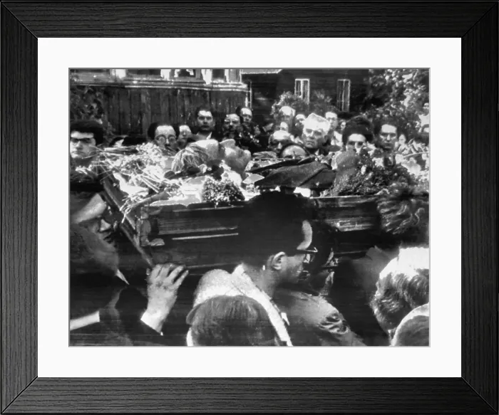 Framed Print : Pasternack Buried