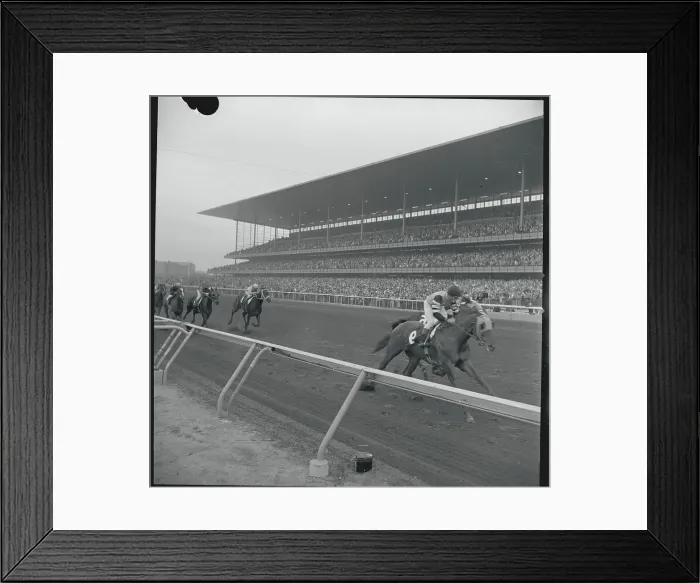 Framed Print : Racing Action at Aqueduct Framed Print : Racing Action at Aqueduct
