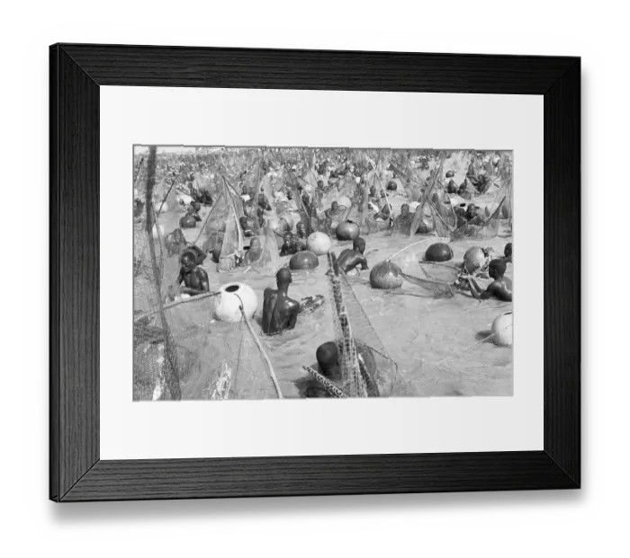 Framed Print : Fish Catching Ceremony