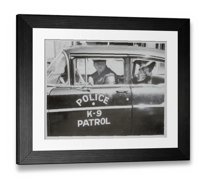 Framed Print : Pooch Police Call Framed Print : Pooch Police Call