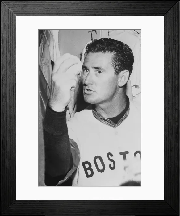 Framed Print : Ted Williams in Boston Red Sox Uniform Framed Print : Ted Williams in Boston Red Sox Uniform