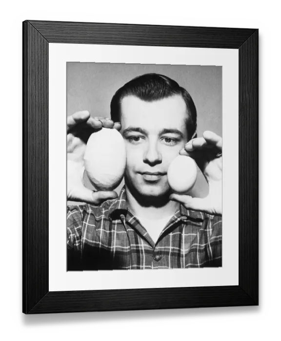 Framed Print : Comparing Sizes of Two Hens Eggs Framed Print : Comparing Sizes of Two Hens Eggs