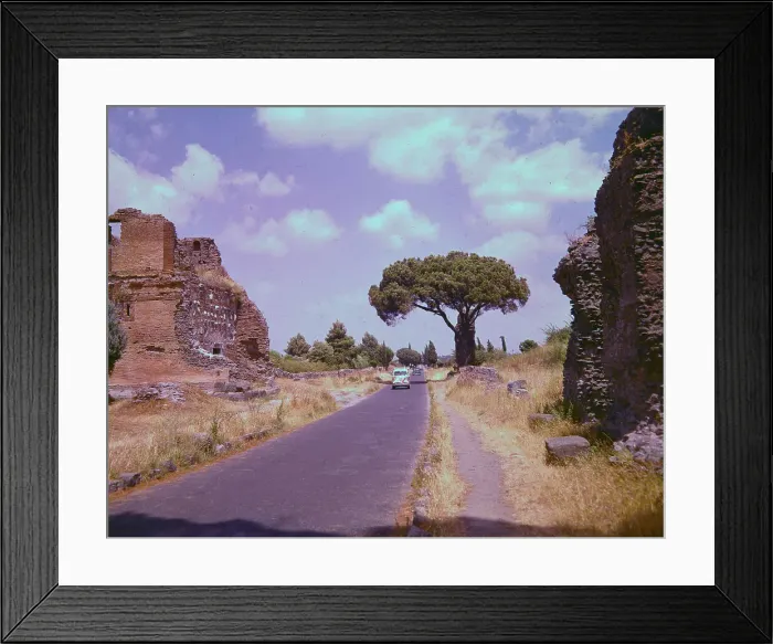 Framed Print : Olympic Travelers on Highway Framed Print : Olympic Travelers on Highway