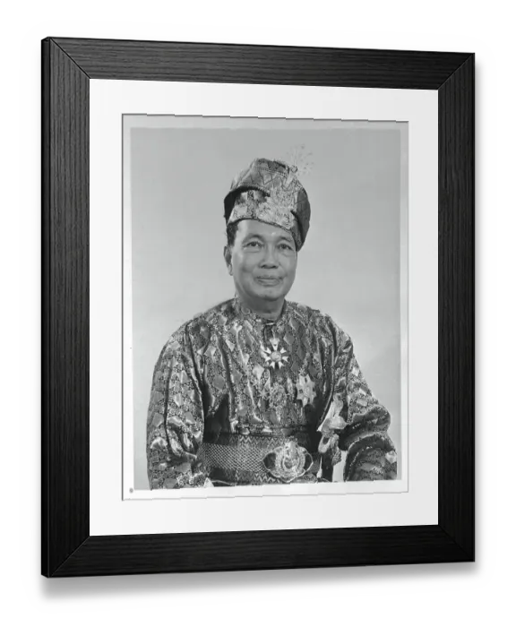 Framed Print : Malayan Sultan Framed Print : Malayan Sultan