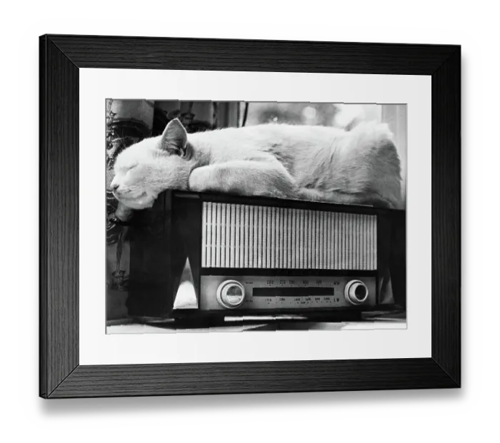 Framed Print : Cat Sleeping on a Radio Framed Print : Cat Sleeping on a Radio