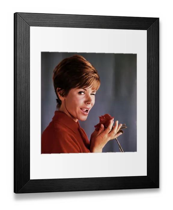 Framed Print : Judy Carne Posing with a Rose Framed Print : Judy Carne Posing with a Rose
