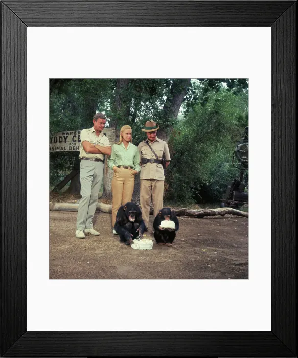 Framed Print : Cast of Daktari