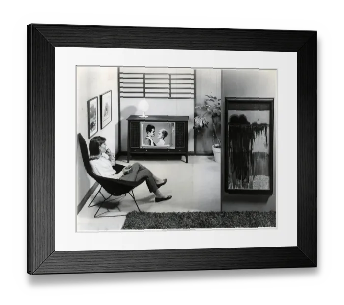Framed Print : Woman Watching TV in Living Room Framed Print : Woman Watching TV in Living Room