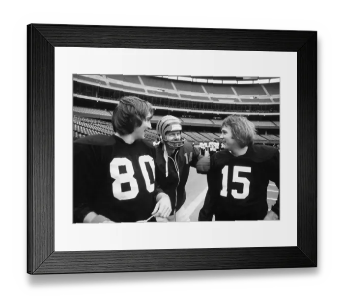 Framed Print : Bengals Players Conversing in Stadium Framed Print : Bengals Players Conversing in Stadium