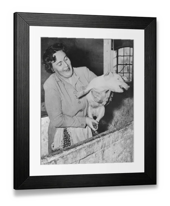 Framed Print : Marilyn Monroe's Half Sister Holding Piglet