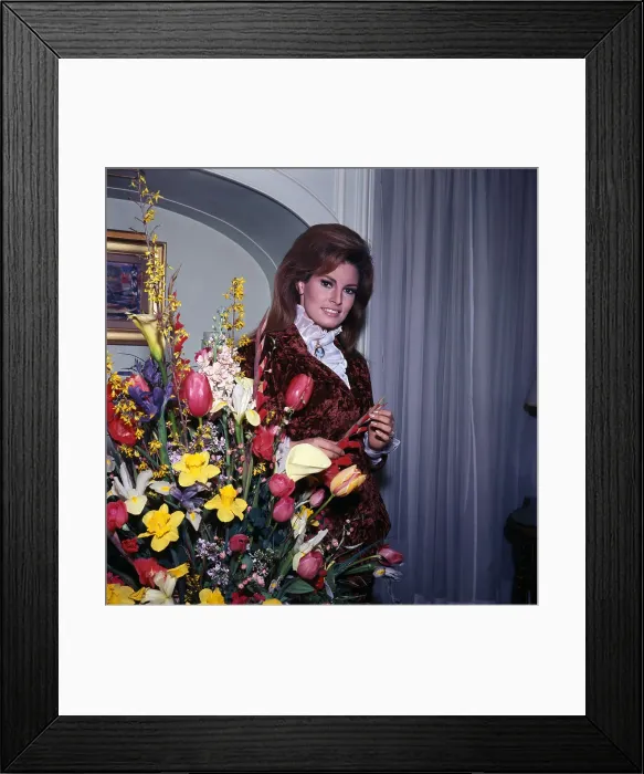 Framed Print : Portrait of Raquel Welch