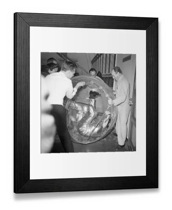 Framed Print : Salvador Dali with Others and Ovocipede Participant Framed Print : Salvador Dali with Others and Ovocipede Participant