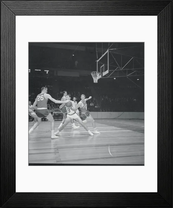 Framed Print : Royals and Knicks During Game Framed Print : Royals and Knicks During Game