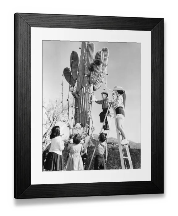 Framed Print : Arizonans Decorating a Christmas Cactus Framed Print : Arizonans Decorating a Christmas Cactus