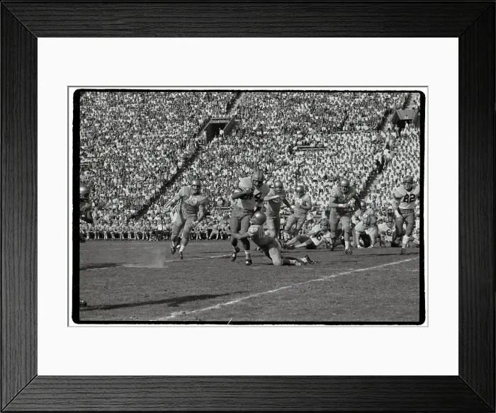 Framed Print : Bruin Tackling Syracuse Players Framed Print : Bruin Tackling Syracuse Players