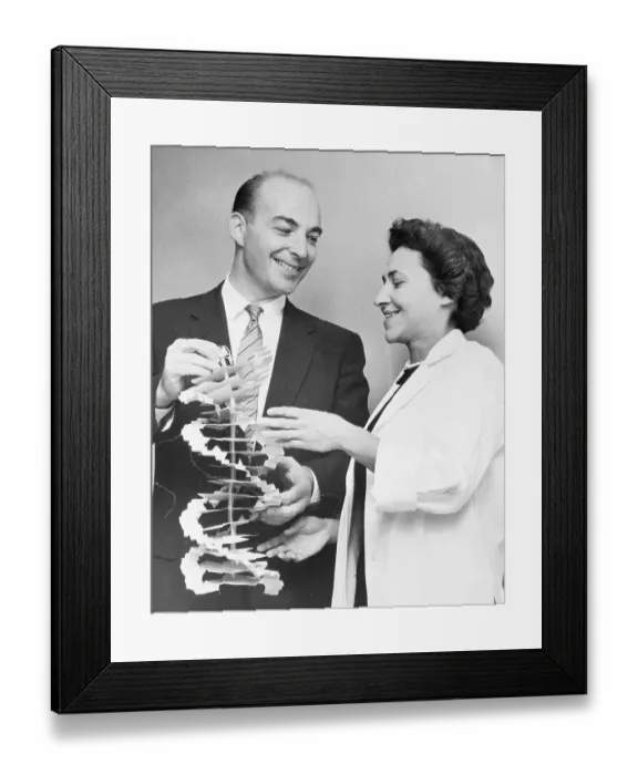 Framed Print : Dr. and Mrs. Arthur Kornberg Smiling with DNA Model Framed Print : Dr. and Mrs. Arthur Kornberg Smiling with DNA Model