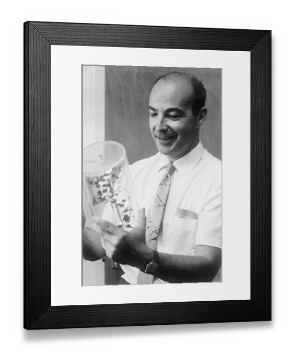 Framed Print : Arthur Kornberg Holding Model Framed Print : Arthur Kornberg Holding Model