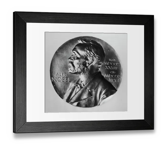 Framed Print : The Nobel Peace Medal Framed Print : The Nobel Peace Medal
