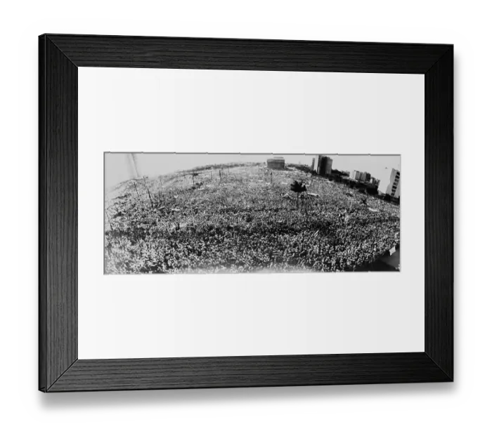 Framed Print : Rally in Havana for Fidel Castro